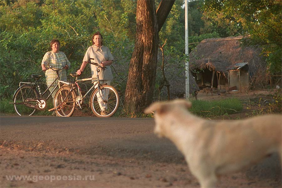 Фото Индии - ГеоФототека