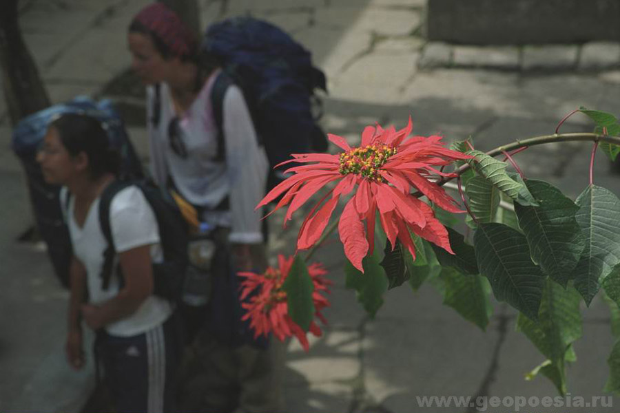 Фото Непала