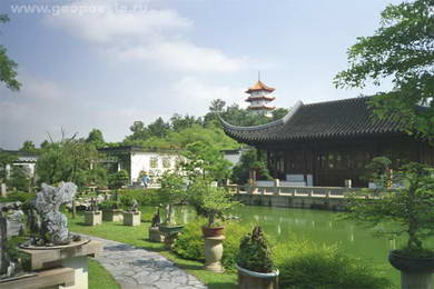 Китайский сад 