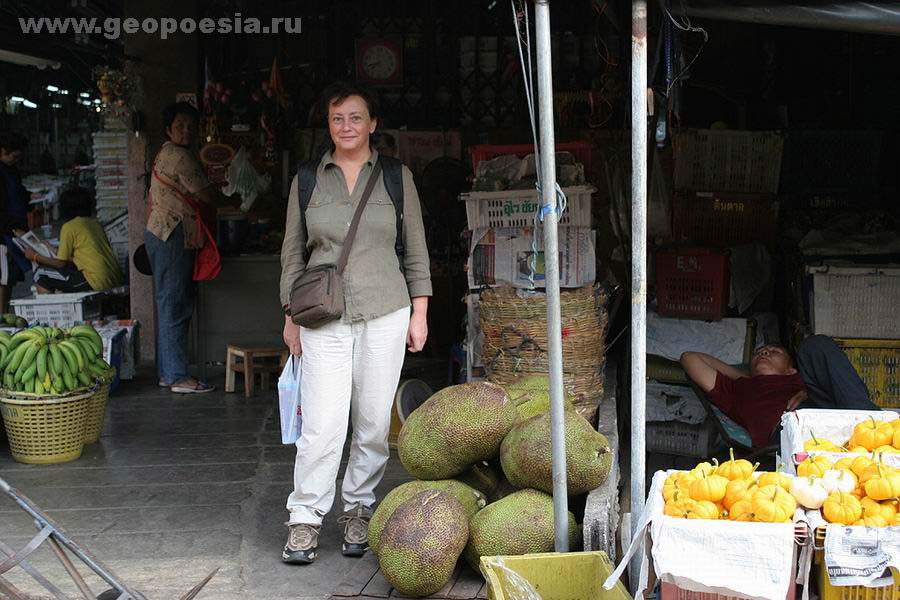 Стихи про дороги