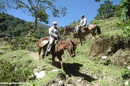 Лошади в Андах
