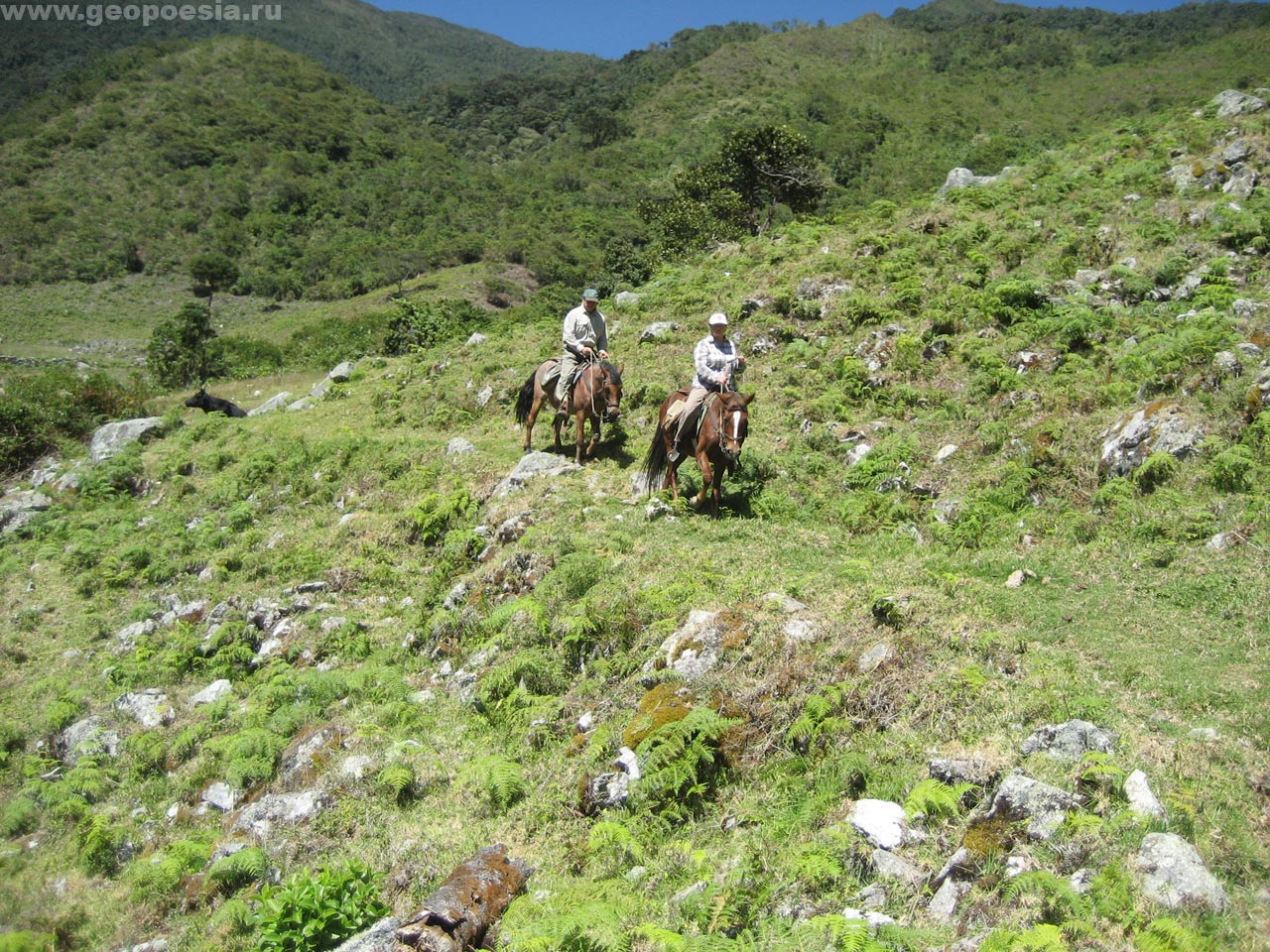 Фото перехода через Анды на лошадях