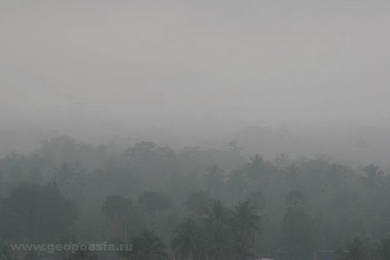Туман над джунглями 