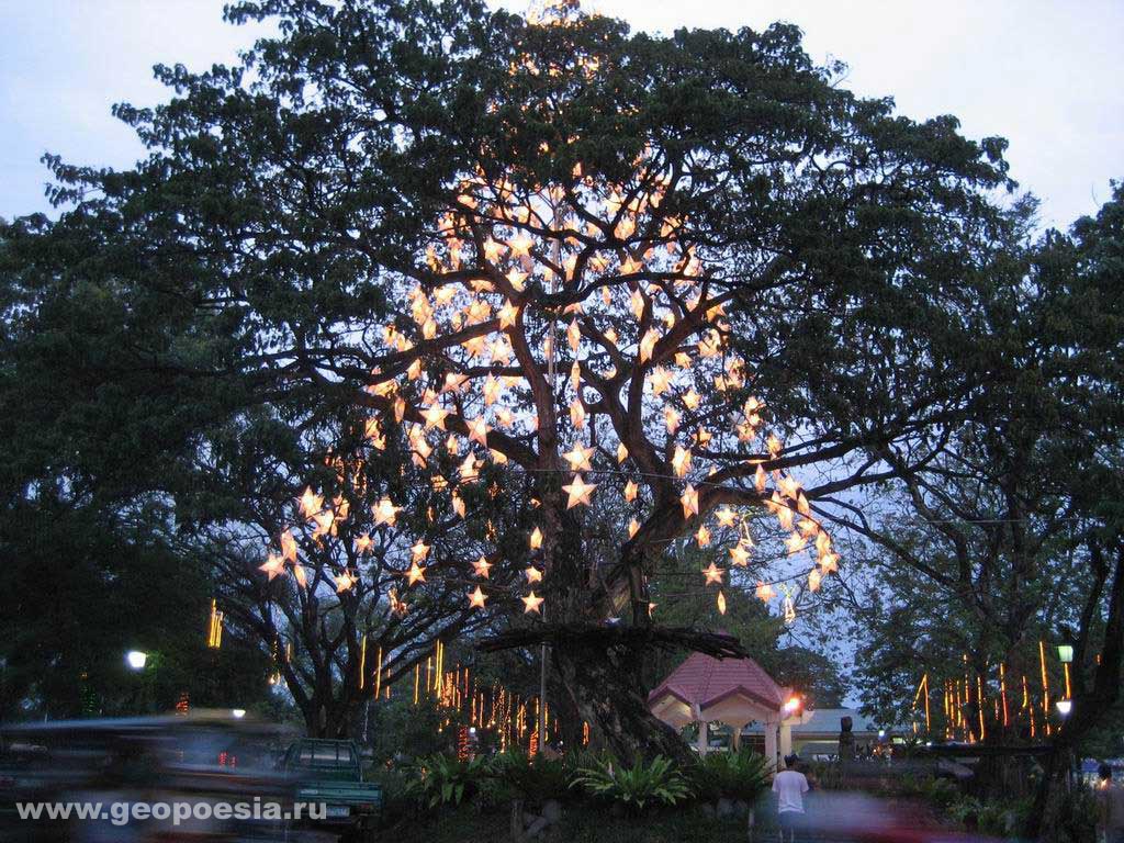 Фото рождественского дерева на Филиппинах